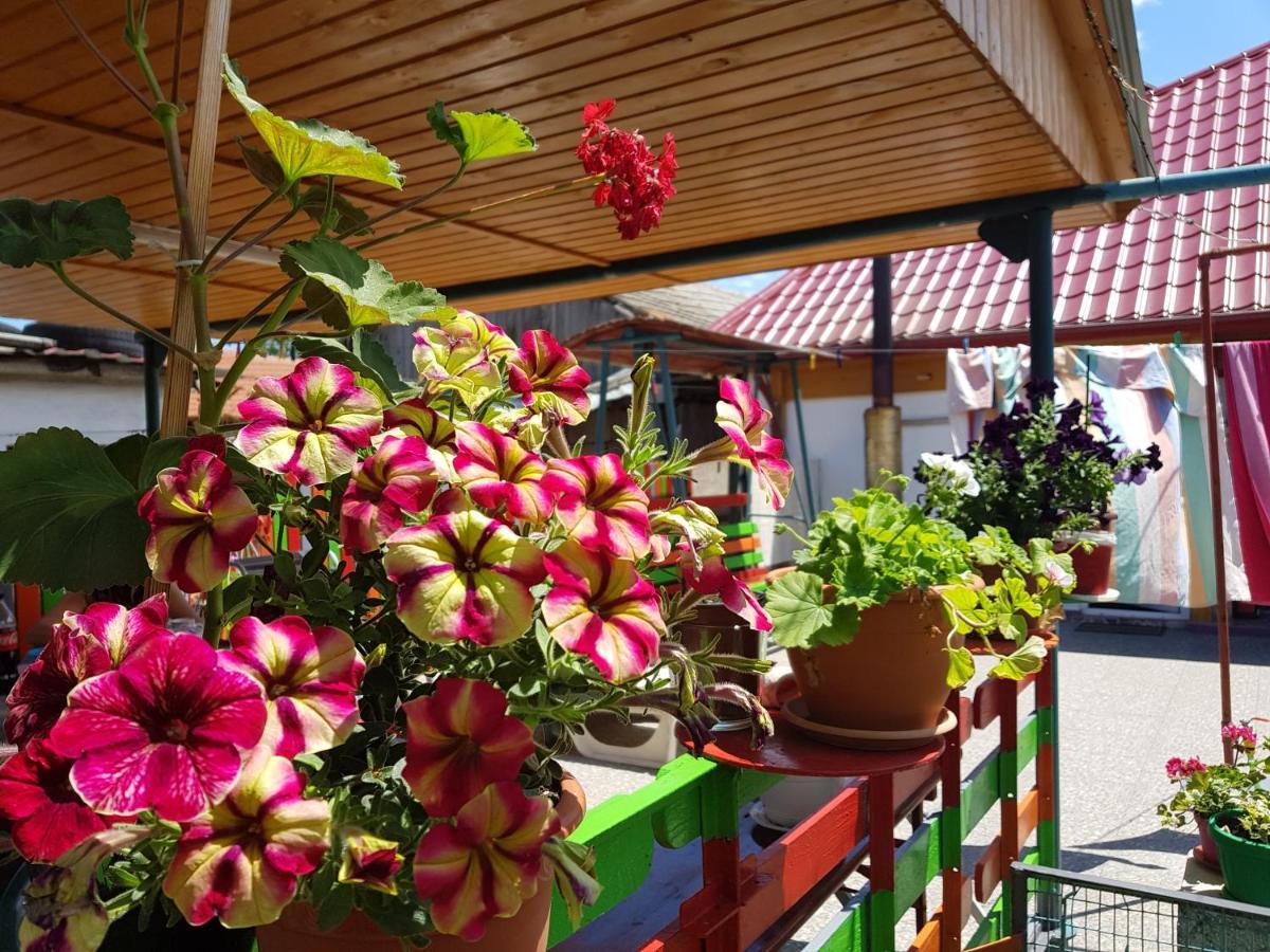 Casa Simona Hotel Două Mai Exterior foto
